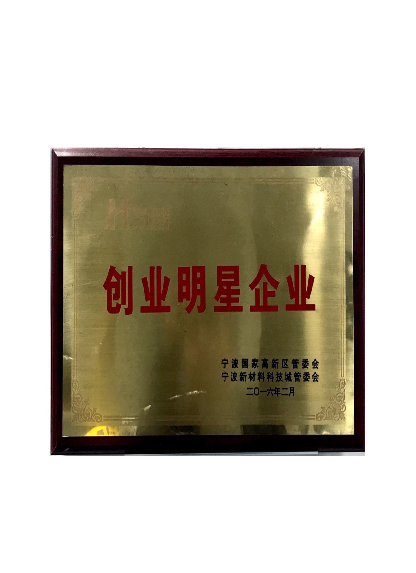創業明星企業